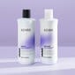 Kenra Violet Shampoo